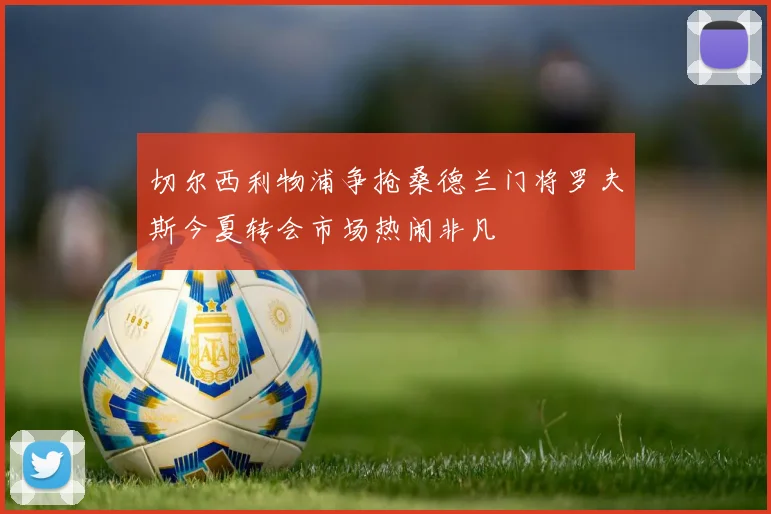 切尔西利物浦争抢桑德兰门将罗夫斯今夏转会市场热闹非凡